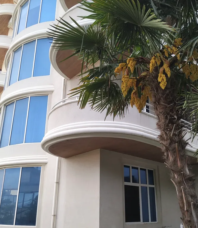 Бросай якорь здесь