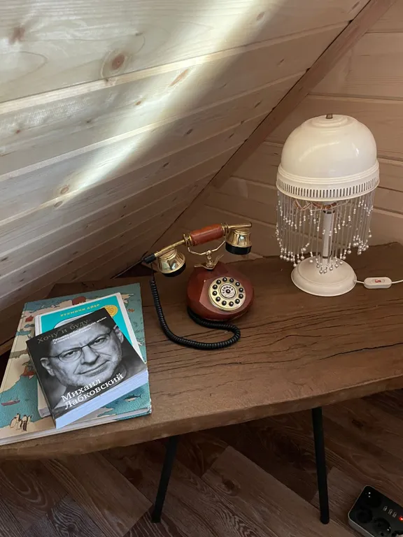 Коттедж Дом-баня с шикарным видом из окна и сибирским банным чаном — Васькино