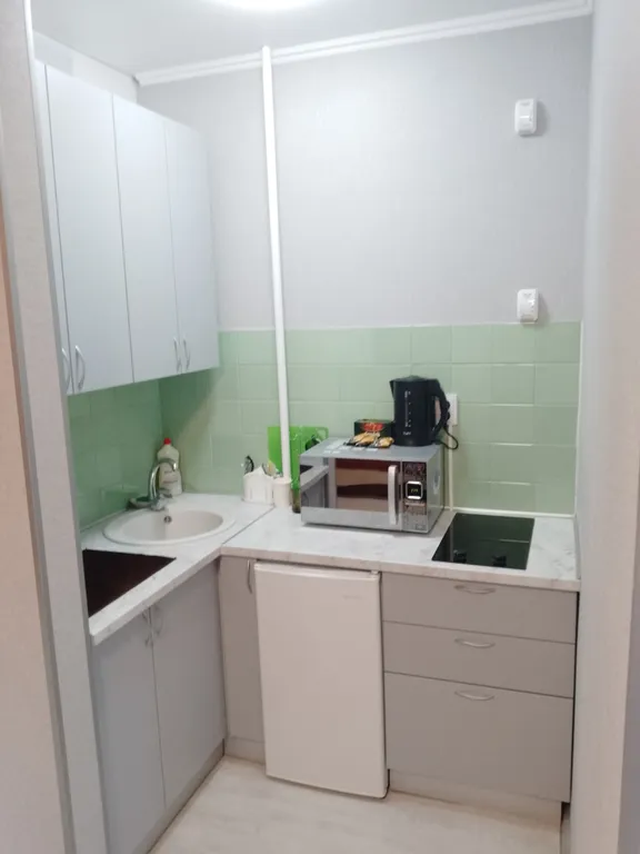 Квартира-студия с видом на сосновый бор