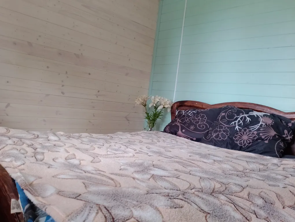 Домик на Селигере