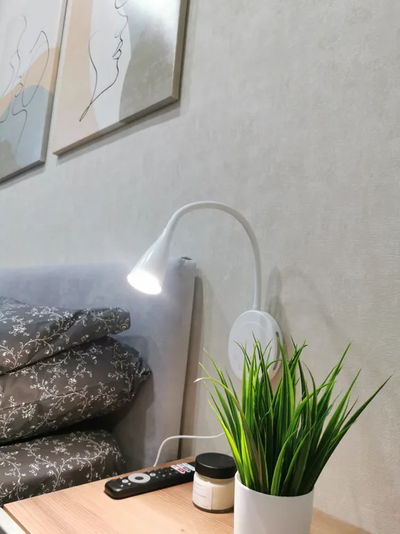 Квартира чемпиона