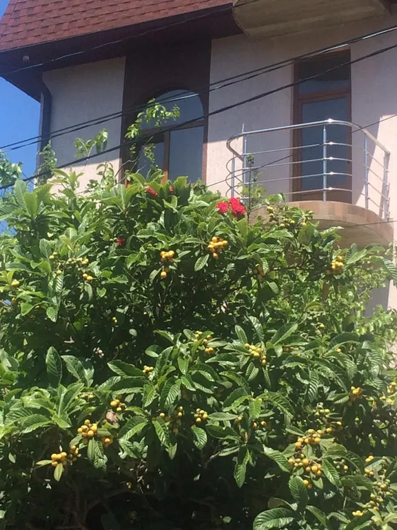 Квартира Комната — Адлер