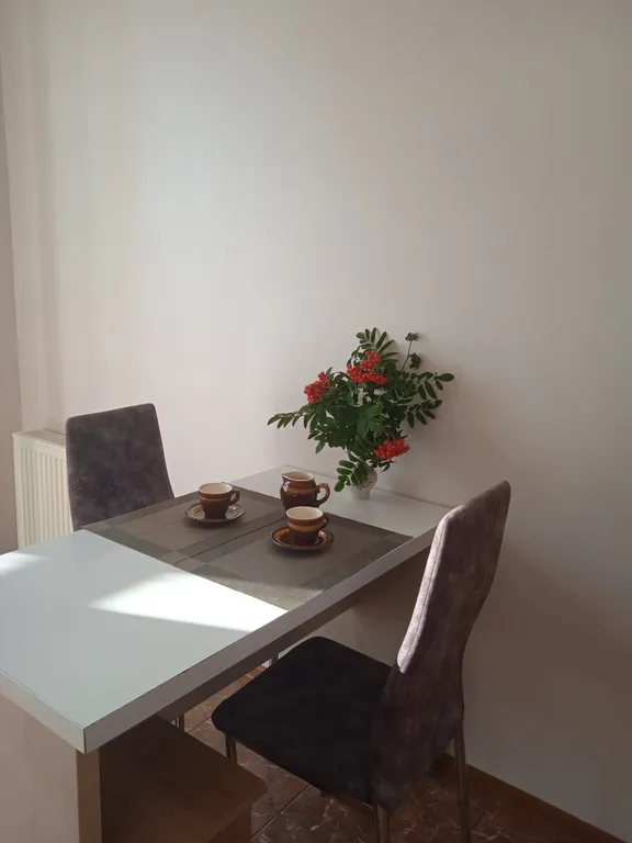 Уютная квартира с панорамными окнами в пол и красивым видом на парк