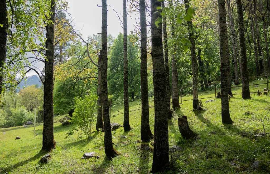 Гостевой дом Артур