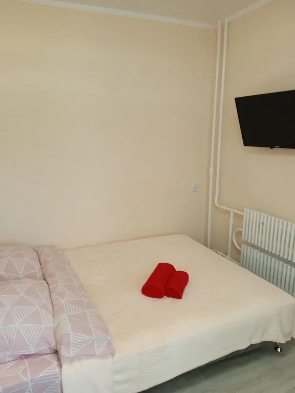 Квартира Тихий и безопасный Пролетарский район — аренда посуточно в Донецк