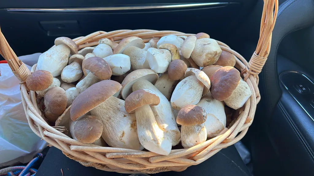 Уютный коттедж №1 у реки