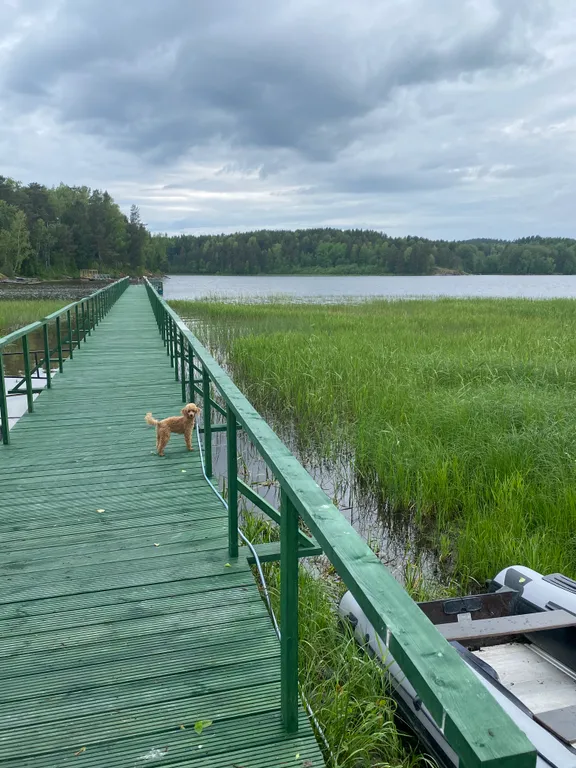 Домик в живописном месте на берегу Ладожского озера