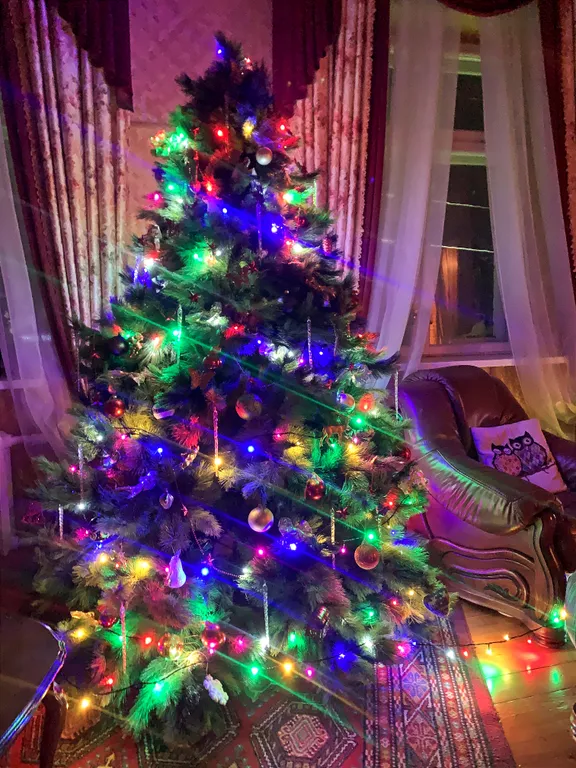 Дом с камином и садом! Две минуты до пляжа!