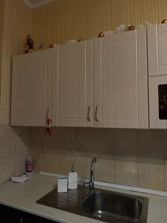 Четырёхместные апартаменты + pets friendly