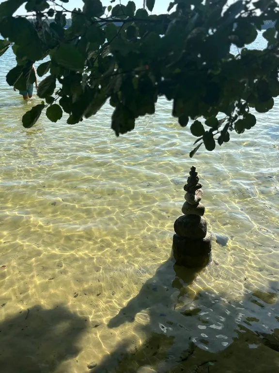 Деревенский домик в лесу