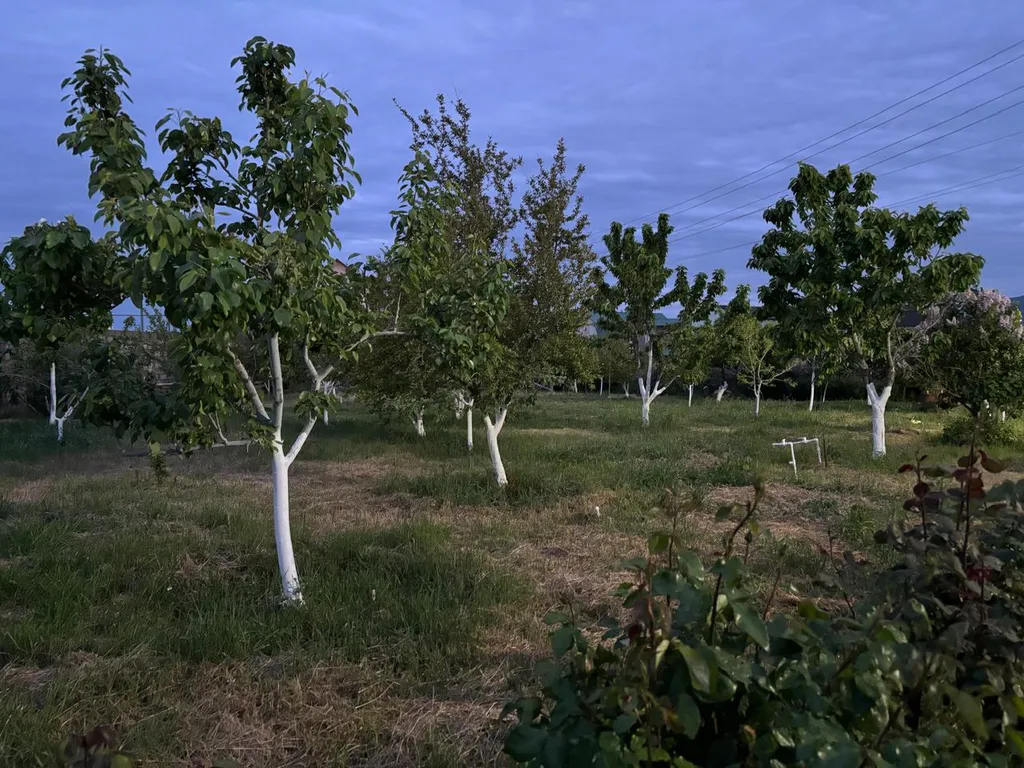 Дом на берегу Каспийского моря