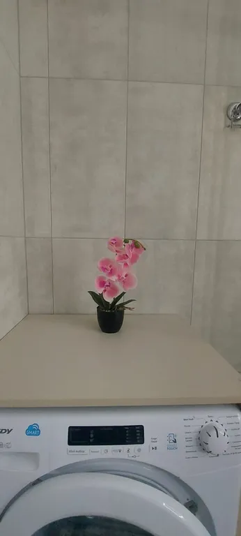 Квартира Стильные апартаменты на первой линии Балтийского моря — Пионерский