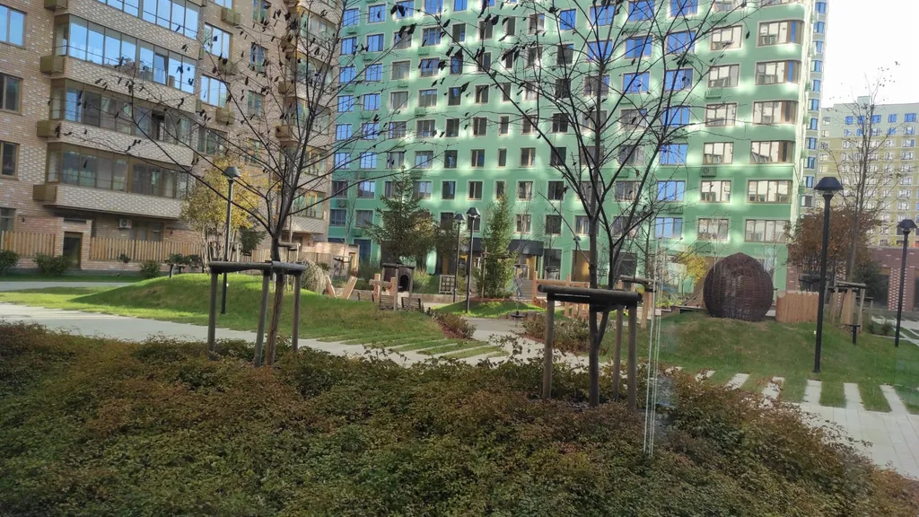 Новая корней патрушева кристалл