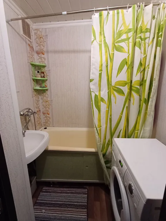 Уютная однокомнатная квартира