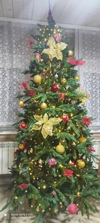 Частный дом Валентина