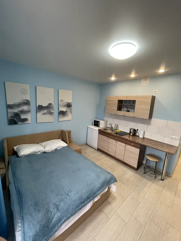 Уютная квартира-студия