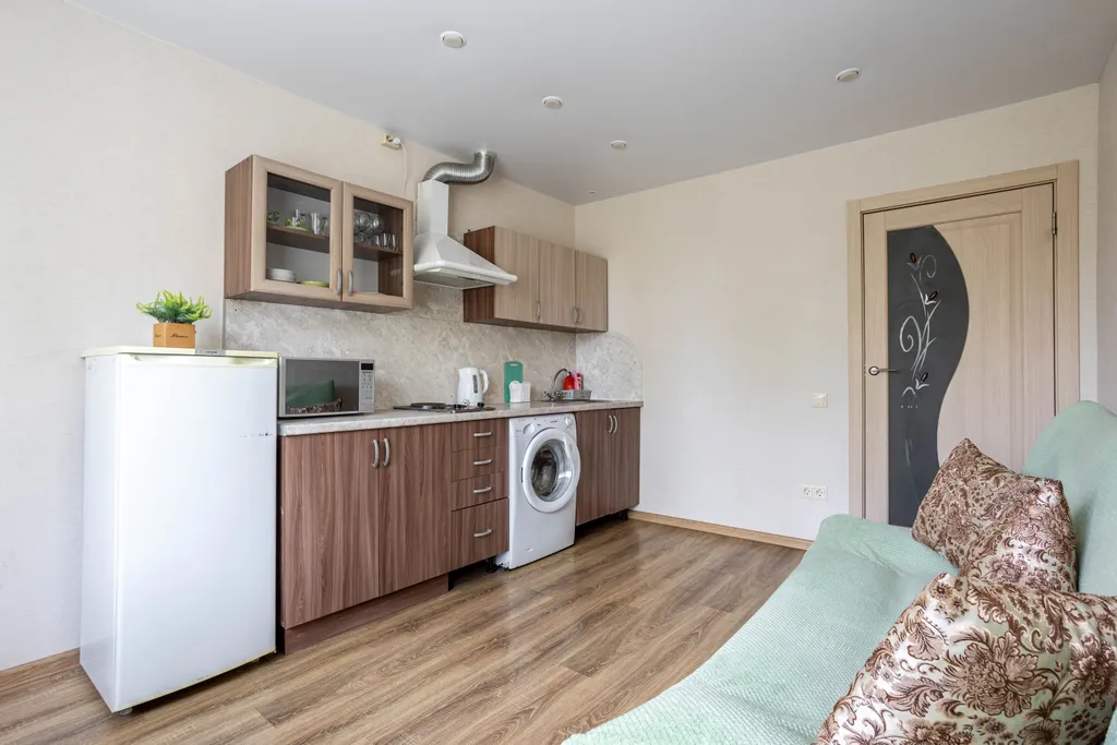 Большая однокомнатная квартира на Красной