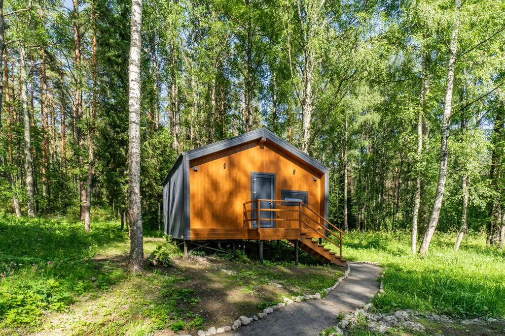 Дом с видом на лес