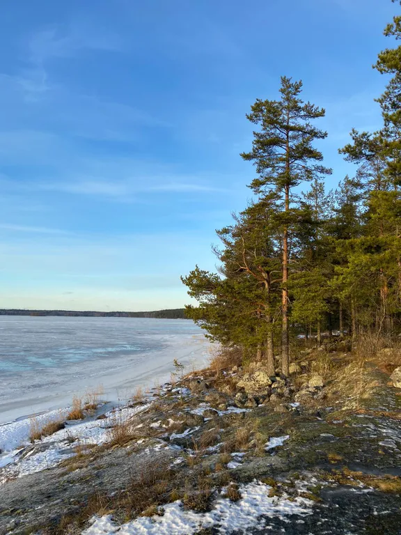 Уютный гостевой дом