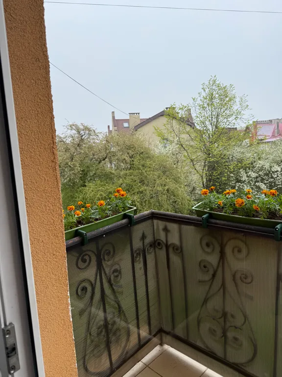 Квартира Уютная двухкомнатная квартира в самом центре Зеленоградска — Зеленоградск