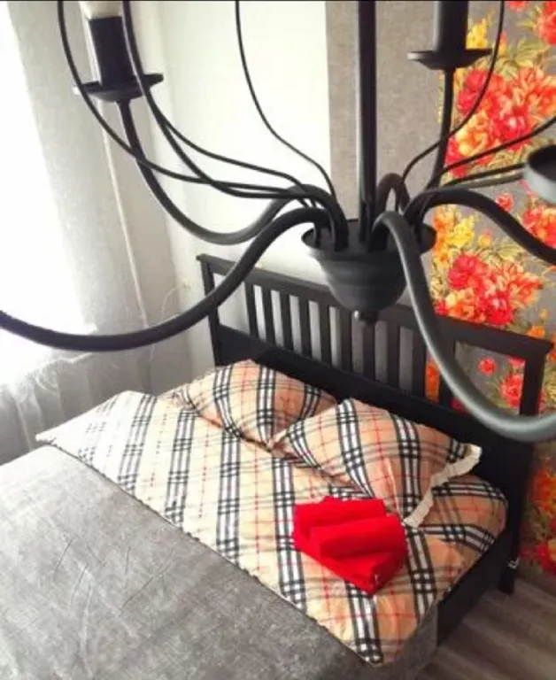 Квартира Академия мвд, транспортный институт, центр города — аренда посуточно в Омск