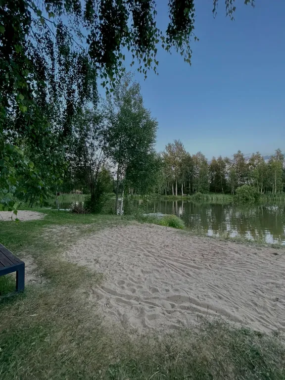 Дом рядом с лесом и прудом