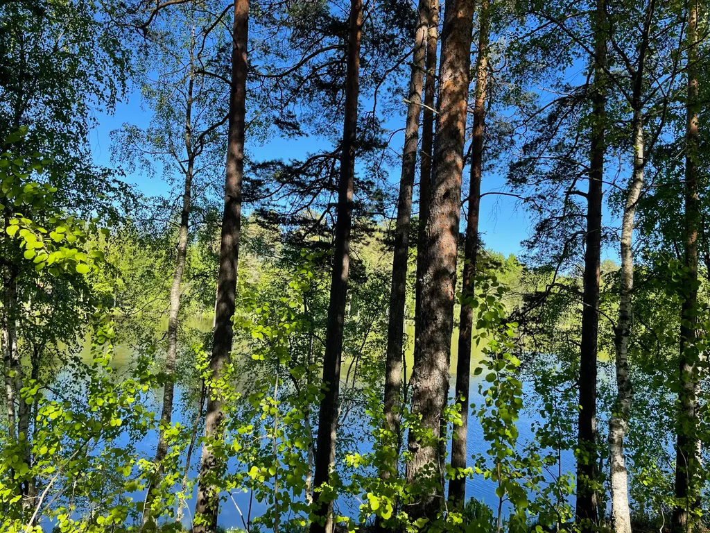 Соловьевка Villa