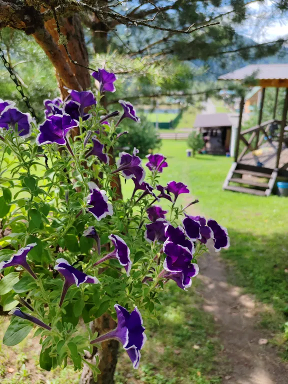 Уютный дом с видом на горы