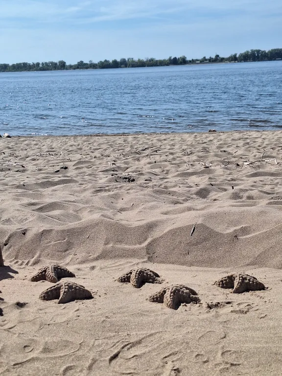 Уютная квартира в центре города, в 5-ти минутах от жд вокзала