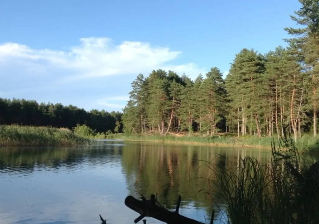 Коттедж Коттедж Селигерское — Березово