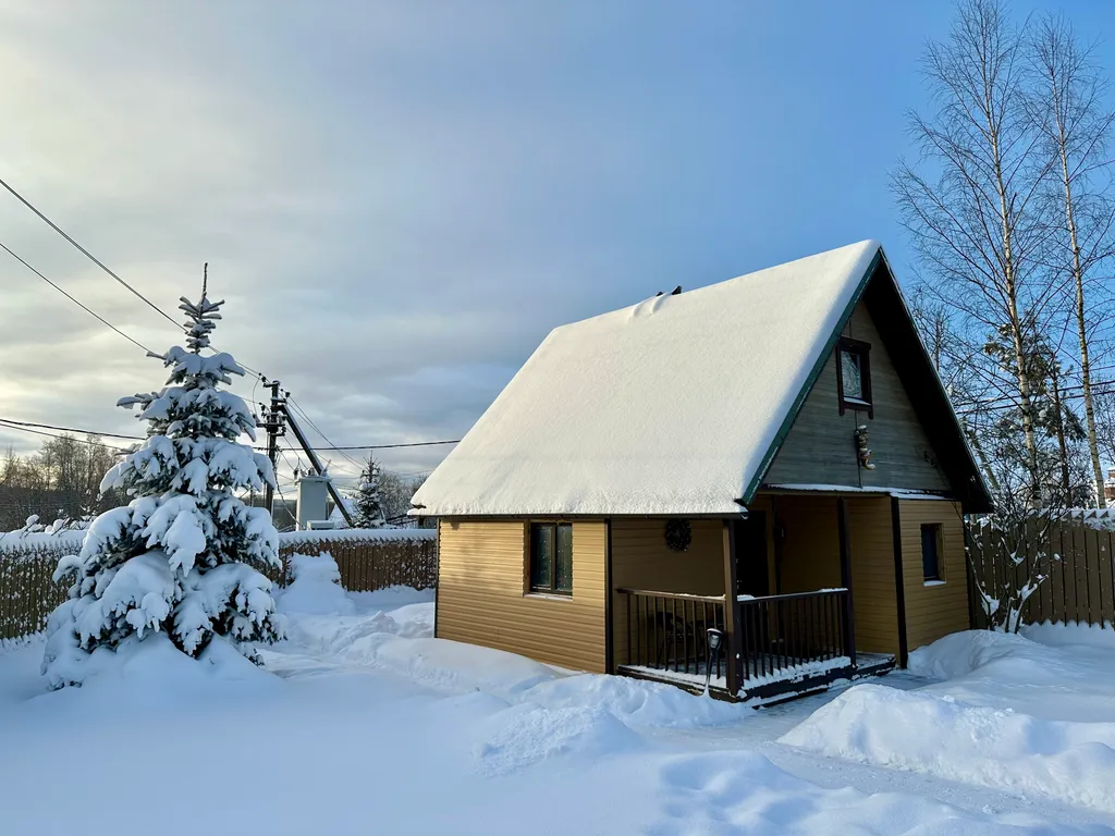 Коттедж Дом у озера и леса — Снегиревка