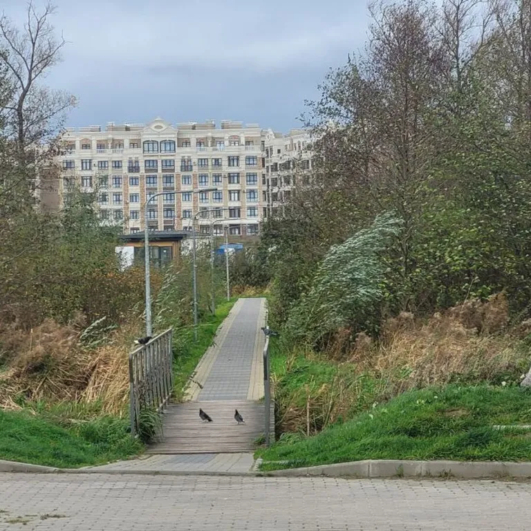 Уютная квартира у моря