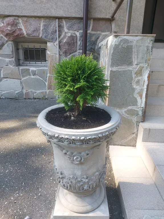 Квартира Апартаменты Белка в вилле Хайтманн — Калининград