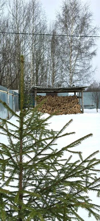 Дом с русской баней на дровах , хамам и бассейном