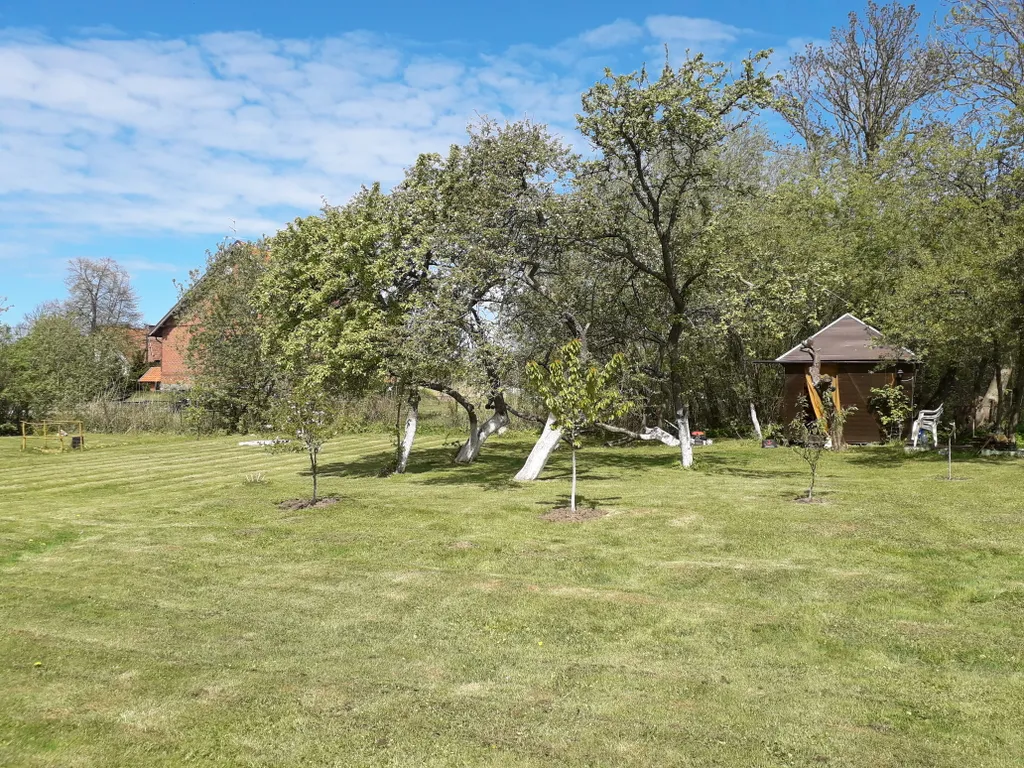 Коттедж Дом на Куршской косе — Рыбачий