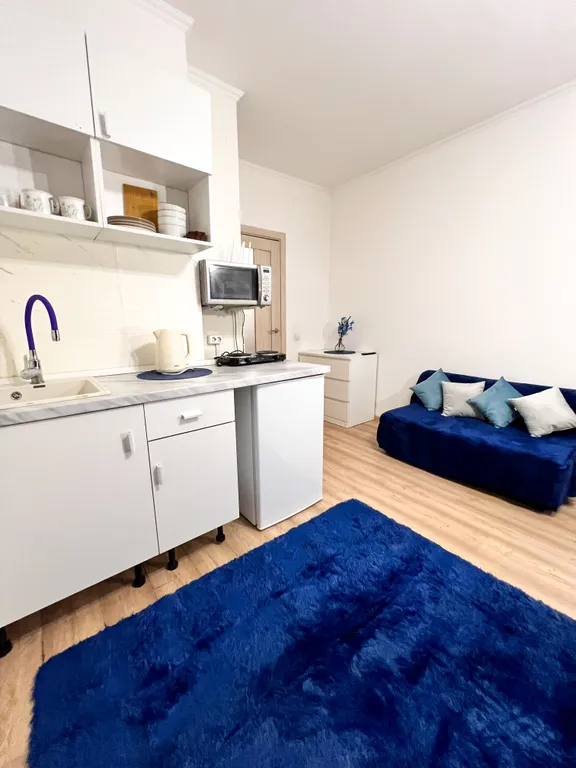 Уютная студия в Девяткино