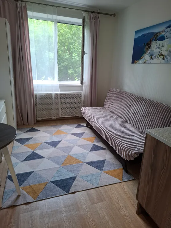 Комфортабельная студия в центральном районе