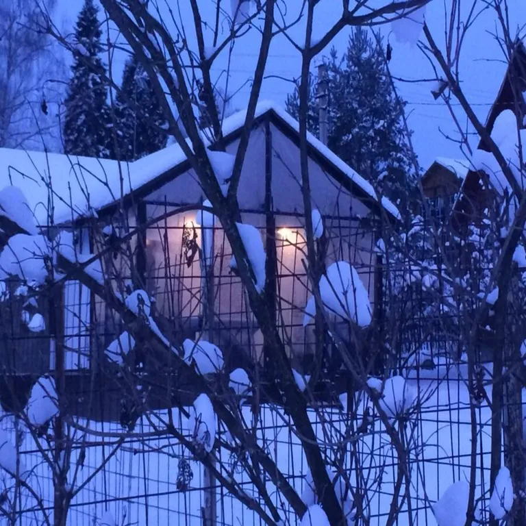 Красивый домик в лесу у реки