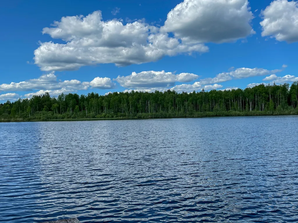 Отдых у озера