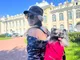 Вилерона