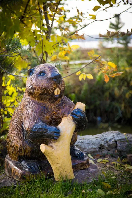 Квартира 1-комнатная Квартира — Луга