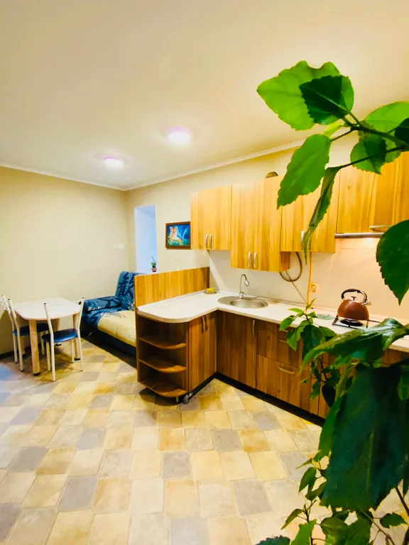 Квартира Квартира Уютный трёхместный номер с дополнительным местом — Анапа