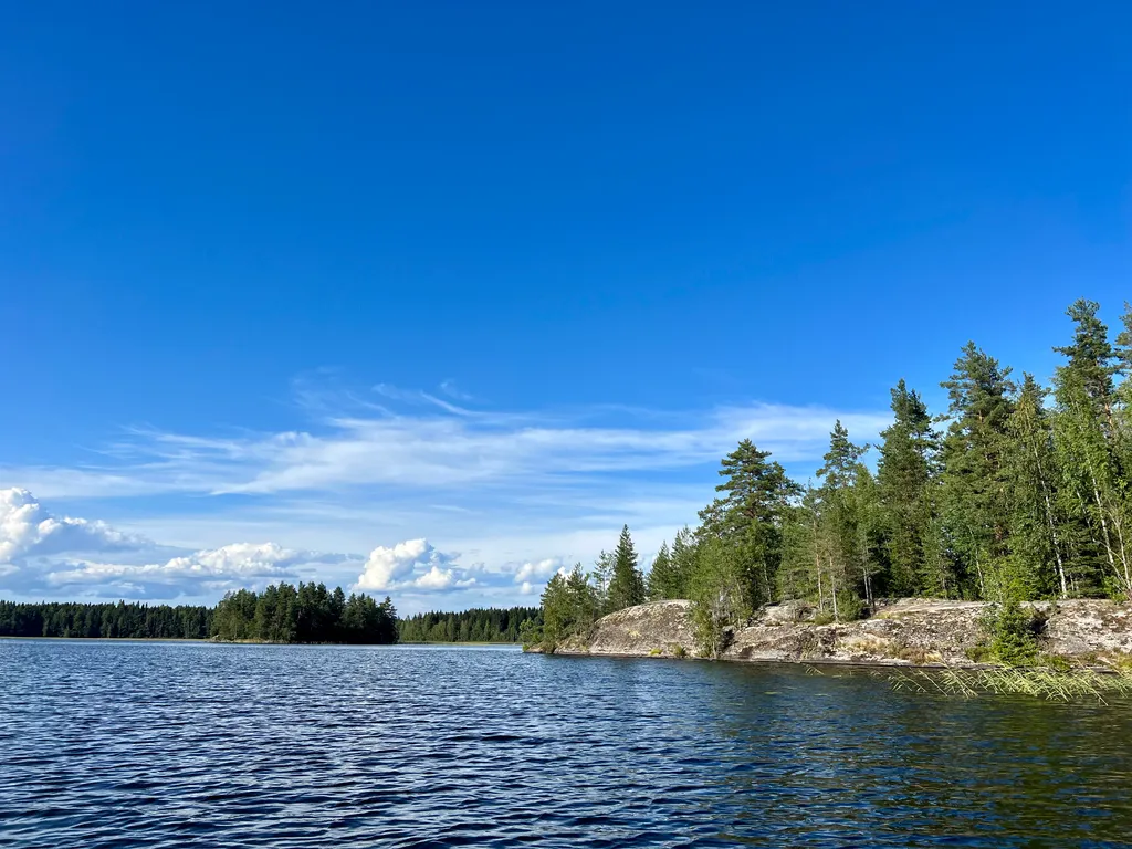 Коттедж с сауной