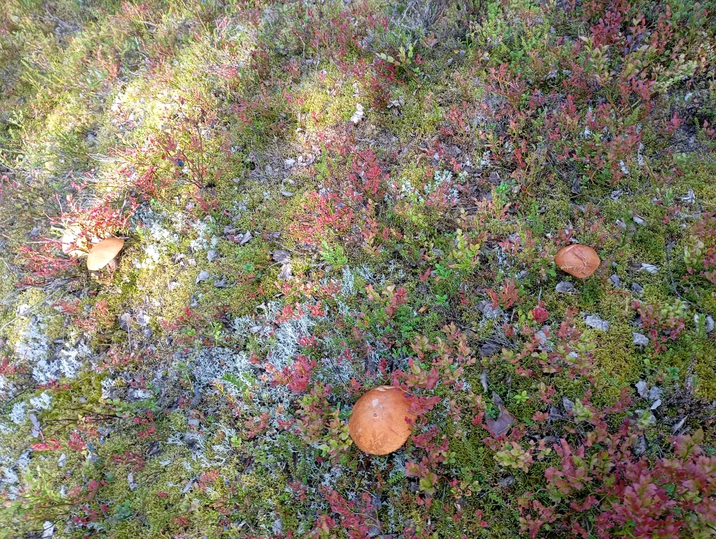 Благоустроенный дом на берегу с баней и катером