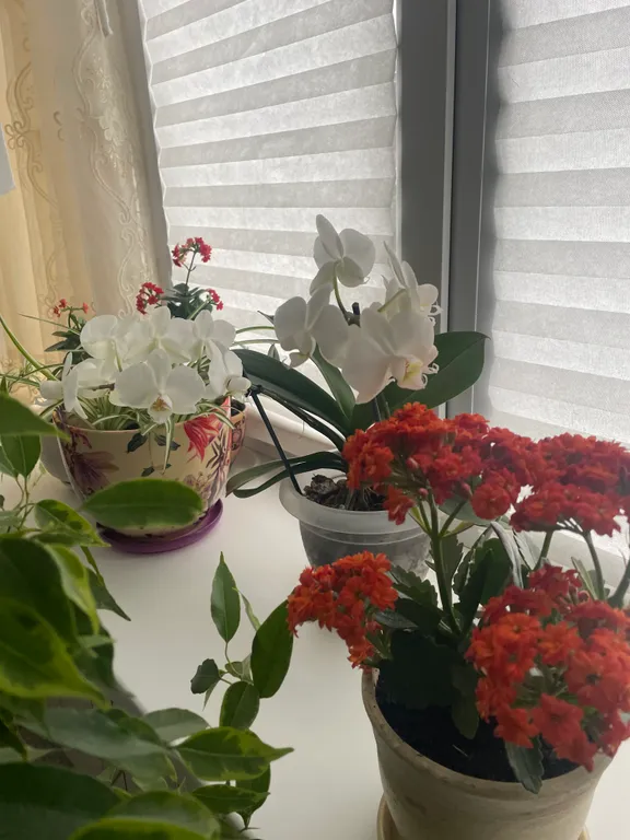 Красивый и просторный дом в Старом городе у городского пляжа