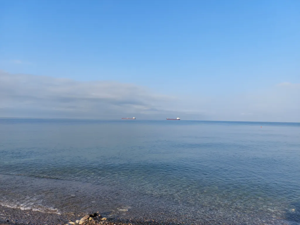 Уютный дом с камином на опушке леса