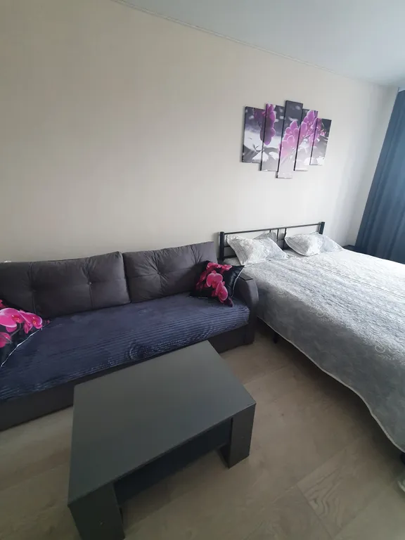 Аппартаменты на Лунной