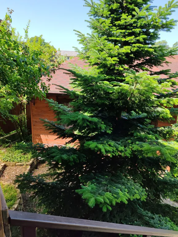 Коттедж Уютный дом в 300 метрах от моря для большой семьи или компании друзей — Нижняя Хобза