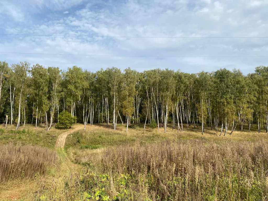 Уютный домик для семьи или компании друзей с банькой и xbox