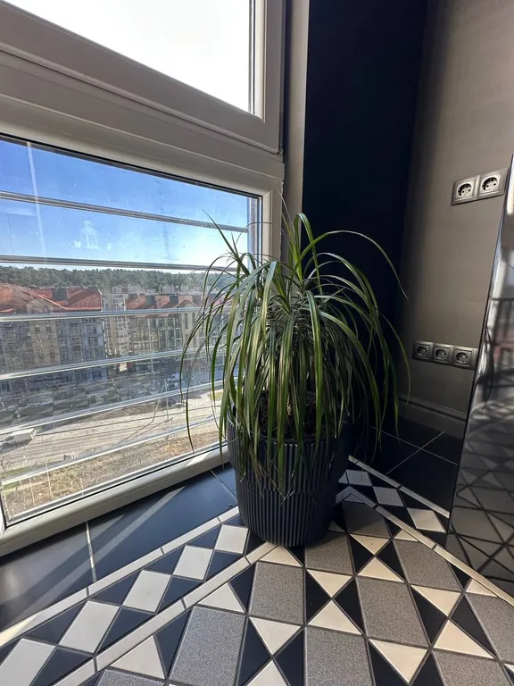 Апартаменты у моря